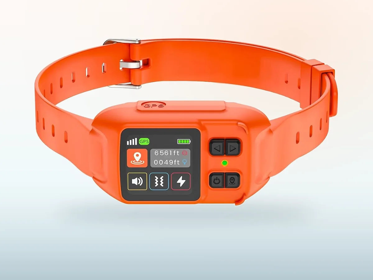 Pawton orange GPS wireless dog fence collar for medium and large dogs